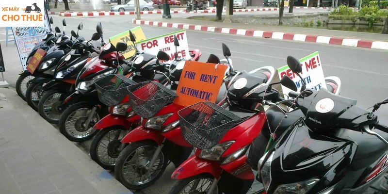 Cầm nang thuê xe máy