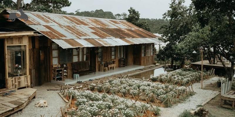 Túi Mơ To – Quán cafe đẹp ở Đà Lạt mang đậm vẻ đẹp hoài niệm