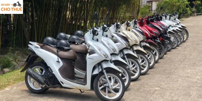 Cho thuê xe máy tại Cần Thơ Tây Đô không nên bỏ qua
