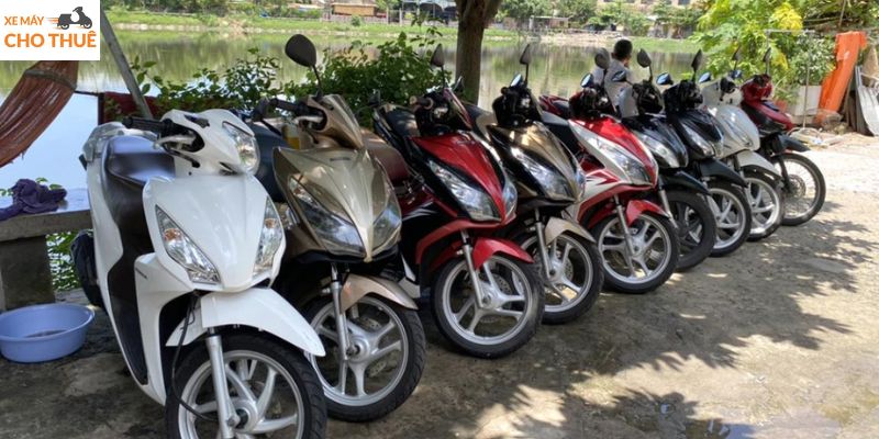 Sampan House cung cấp đa dạng các loại xe máy cho thuê với mức giá hợp lý