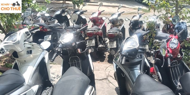 Dịch vụ cho thuê xe máy Ninh Kiều Cần Thơ tiện lợi nhanh chóng