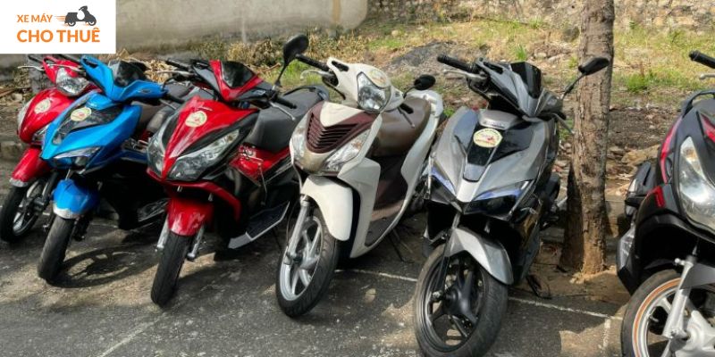 Dịch vụ cho thuê xe máy Rjn