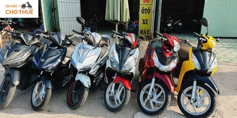 Thuê xe máy tại Thiên Vũ Travel