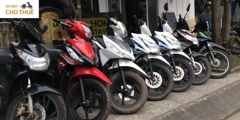 Tùng Motorbike Rental! Đa dạng mẫu mã, giá cực tốt, phục vụ tận tâm từ A-Z!