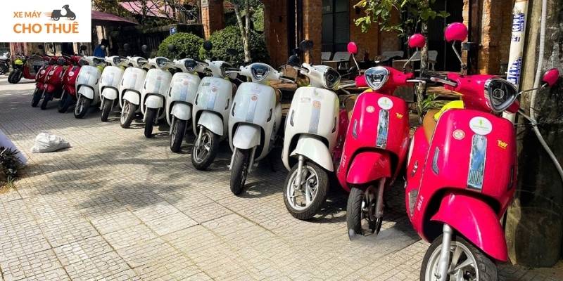 Motorvina Phong Nha: nơi mà mỗi chiếc xe thuê là một vé mở ra hành trình rực rỡ