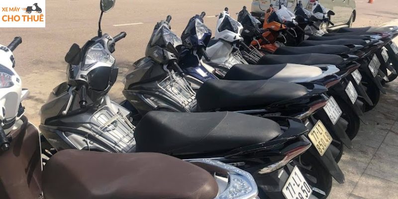 Thành Đại đơn vị cho thuê xe máy tự lái an toàn và uy tín ở Quy Nhơn