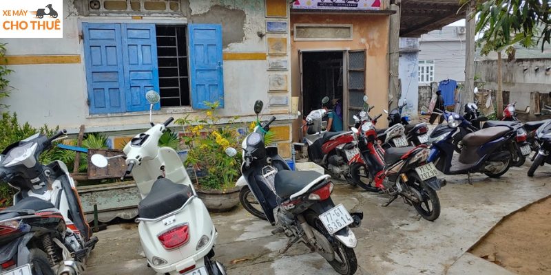 Thanh Hường đơn vị uy tín tại Quy Nhơn cung cấp dịch vụ thuê xe máy tự lái 