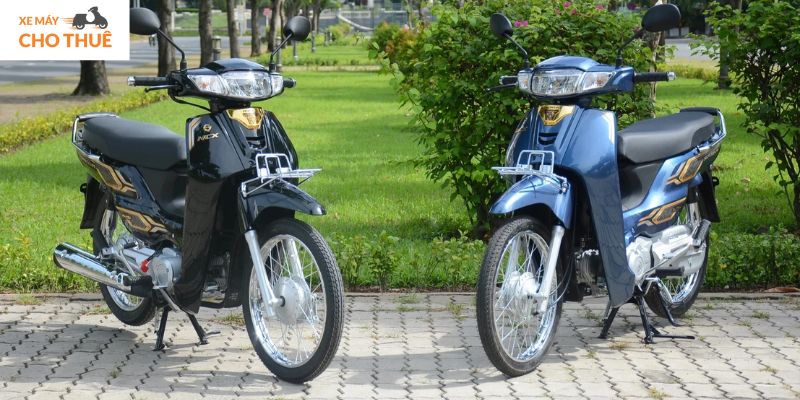 Xe số
