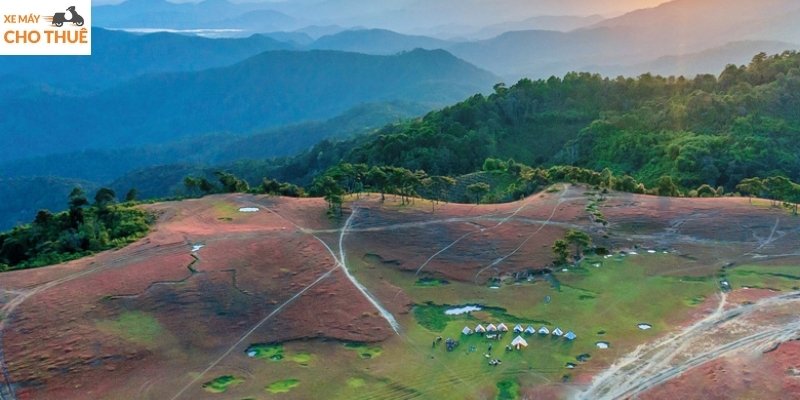 Đồi Masara nổi bật với đồi cỏ hồng Đà Lạt rực rỡ, nguyên sơ