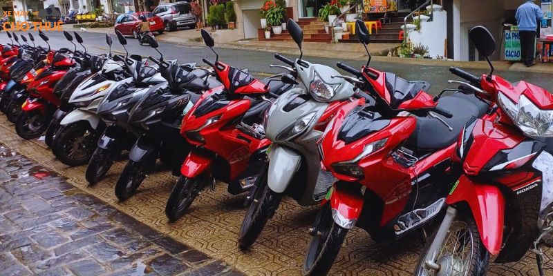 Thuê xe máy Đà Lạt Go Happy
