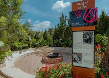 Những đường chim bay – Trải nghiệm nghệ thuật độc đáo tại Đà Lạt