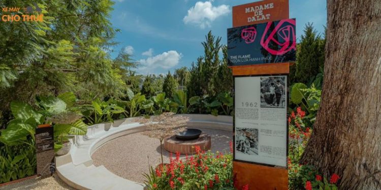 Những đường chim bay – Trải nghiệm nghệ thuật độc đáo tại Đà Lạt