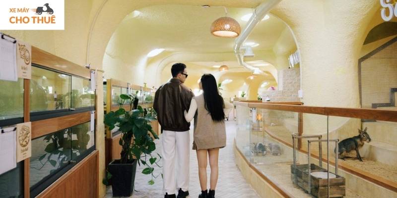 Đến Fresh Zoo, khám phá thế giới động vật trong không gian khép kín