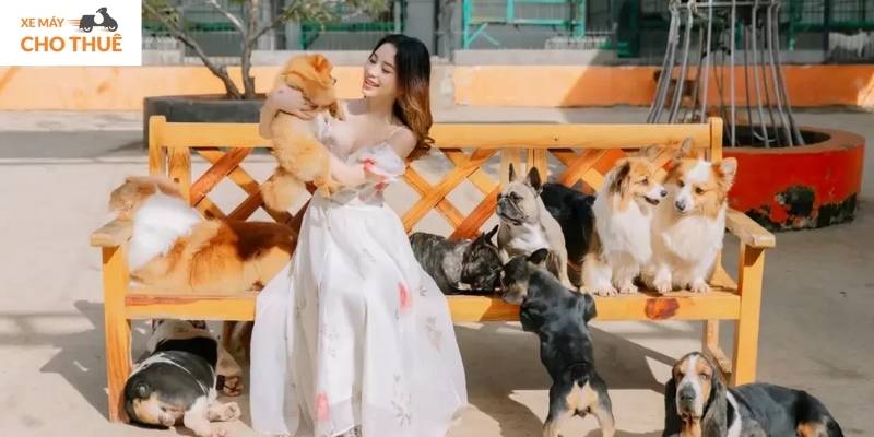 Puppy Farm Đà Lạt – nơi bạn có thể ôm cún, vuốt ve, check-in thỏa thích