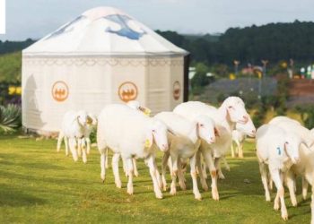 Sở thú Đà Lạt – điểm check-in mới toanh cho hội mê thiên nhiên và động vật