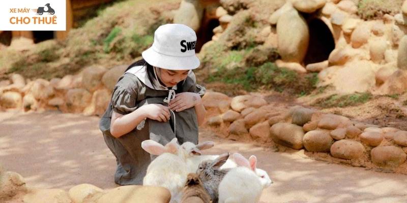 Lạc vào thế giới du mục giữa Đà Lạt tại Mongo Land