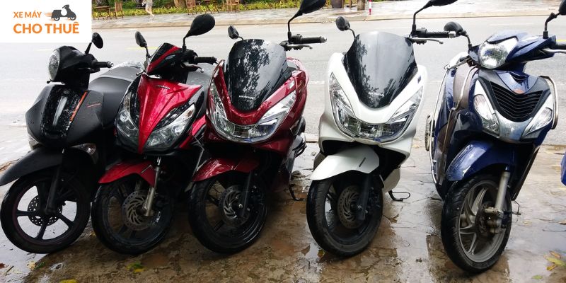 Nhiều lựa chọn đa dạng đang chờ bạn khi tìm dịch vụ thuê xe máy Phú Quốc giá tốt