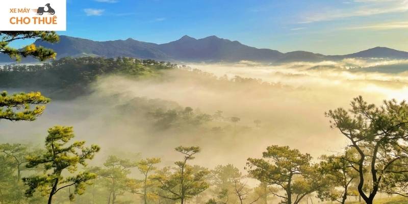 Thung Lũng Vàng Đà Lạt – nơi bình yên chạm đến trái tim bạn