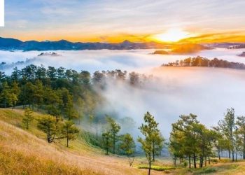 Thung lũng vàng Đà Lạt – nơi thiên nhiên và bình yên hòa quyện tuyệt đẹp