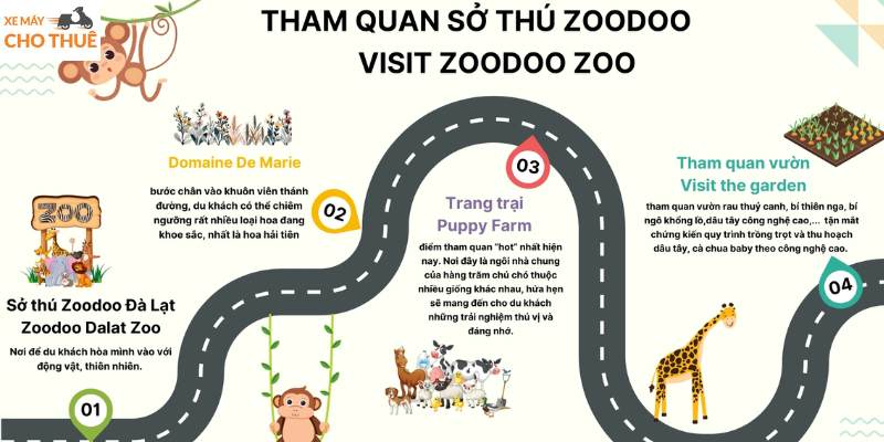 Tất tần tật đường đến sở thú Zoodoo cho bạn