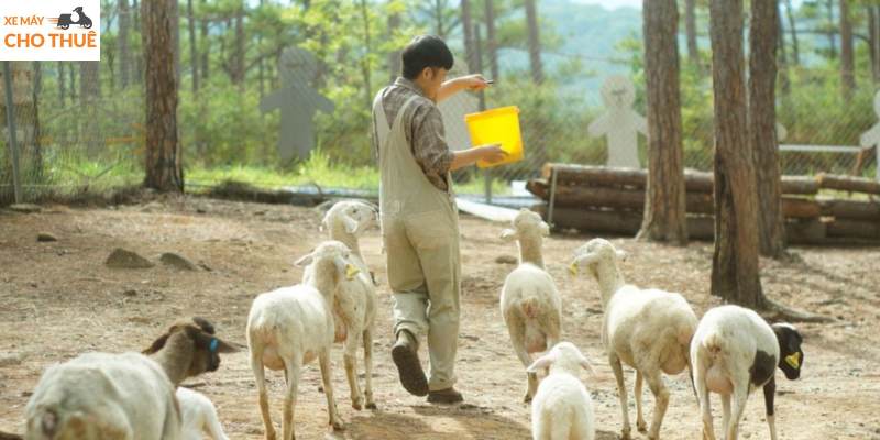 Trải nghiệm cho thú ăn đầy thú vị và gần gũi