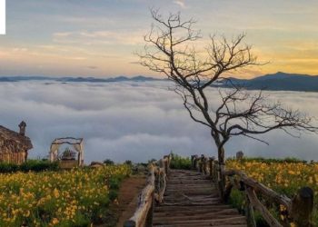 Top 10+ cảnh đẹp Đà Lạt không phải để ngắm mà là để “yêu”