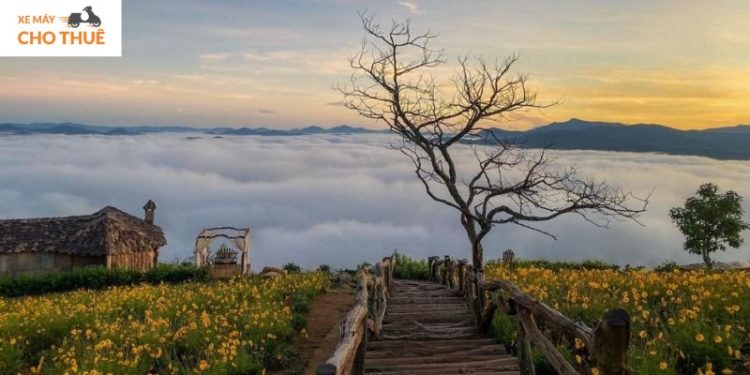 Top 10+ cảnh đẹp Đà Lạt không phải để ngắm mà là để “yêu”