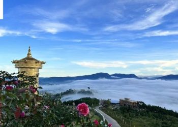 Đà Lạt đi đâu? Gợi ý những tọa độ khiến bạn lỡ làng cả trái tim