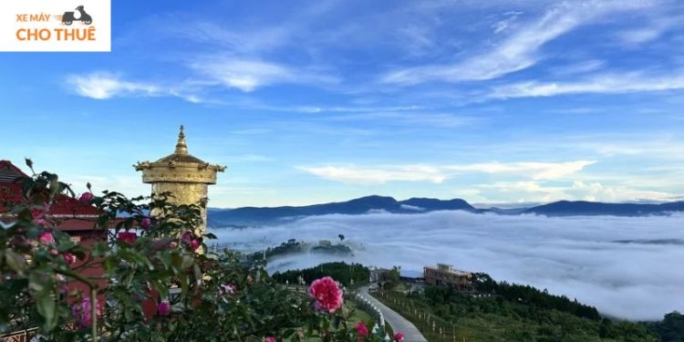 Đà Lạt đi đâu? Gợi ý những tọa độ khiến bạn lỡ làng cả trái tim