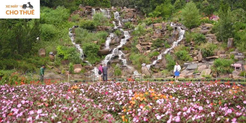 Thung lũng Hồng - Địa điểm du lịch Đà Lạt mới nổi hấp dẫn giới trẻ