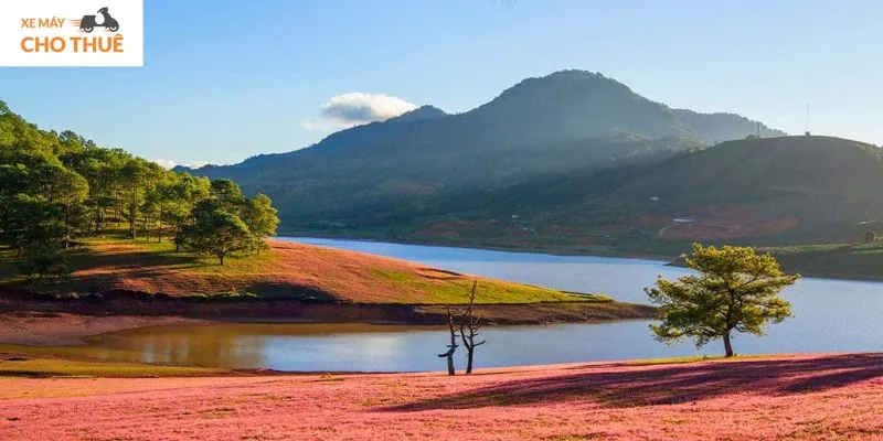 Đỉnh Langbiang – Hồ Suối Vàng Đà Lạt